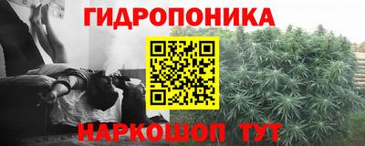 PSILOCYBIN Пугачёв