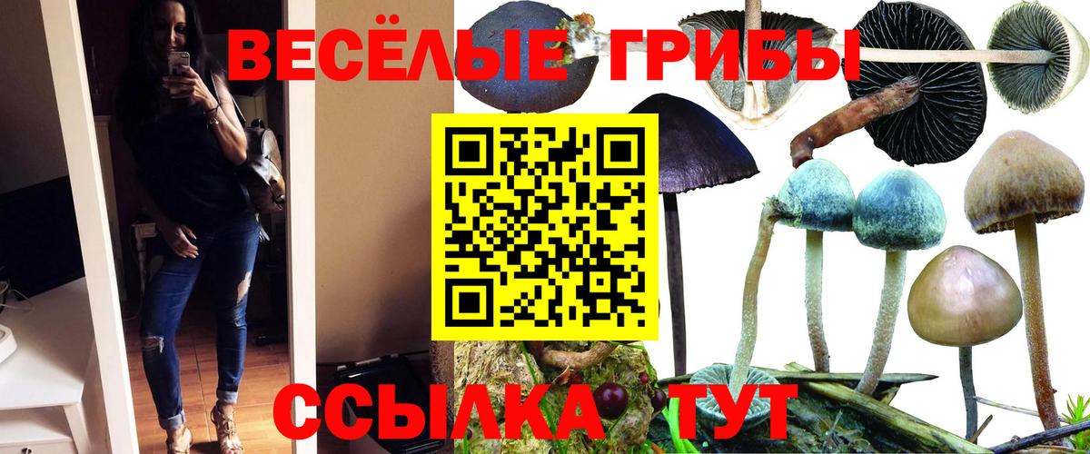 Псилоцибиновые грибы MAGIC MUSHROOMS  Вход с VPN  Петропавловск-Камчатский 