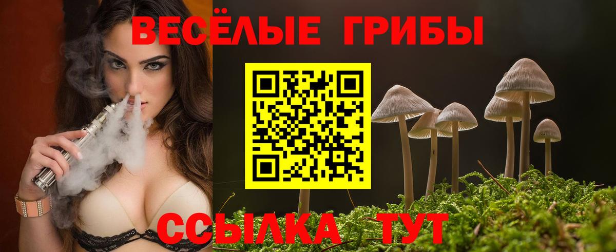 Псилоцибиновые грибы мицелий Петропавловск-Камчатский
